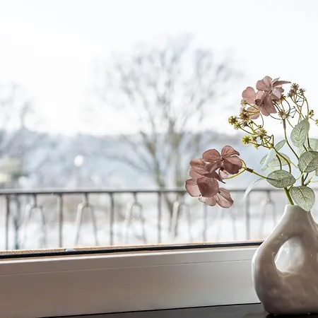 Rhein River- Old Town - Wine - Coffee - Wifi Apartment *